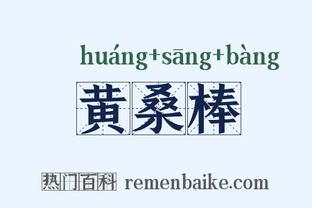 黄桑棒是什么意思的图片